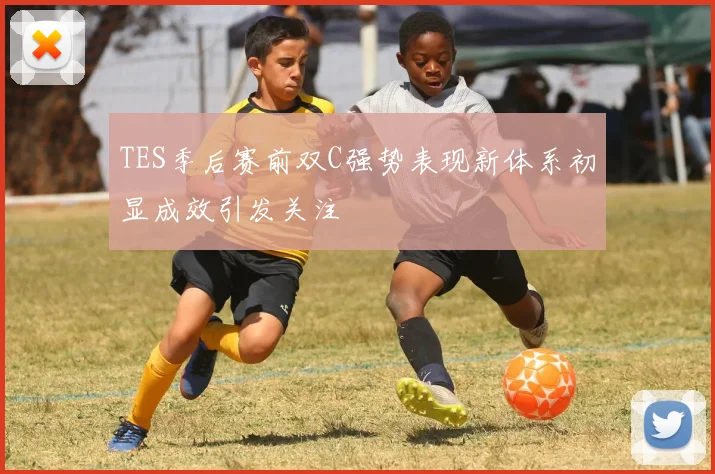 TES季后赛前双C强势表现新体系初显成效引发关注