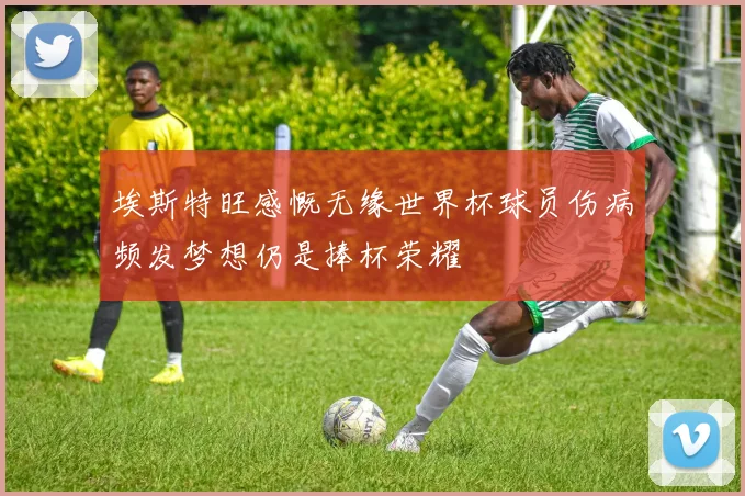 埃斯特旺感慨无缘世界杯球员伤病频发梦想仍是捧杯荣耀